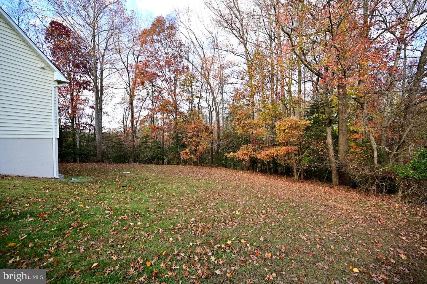 2800 Harrison Court photo 77