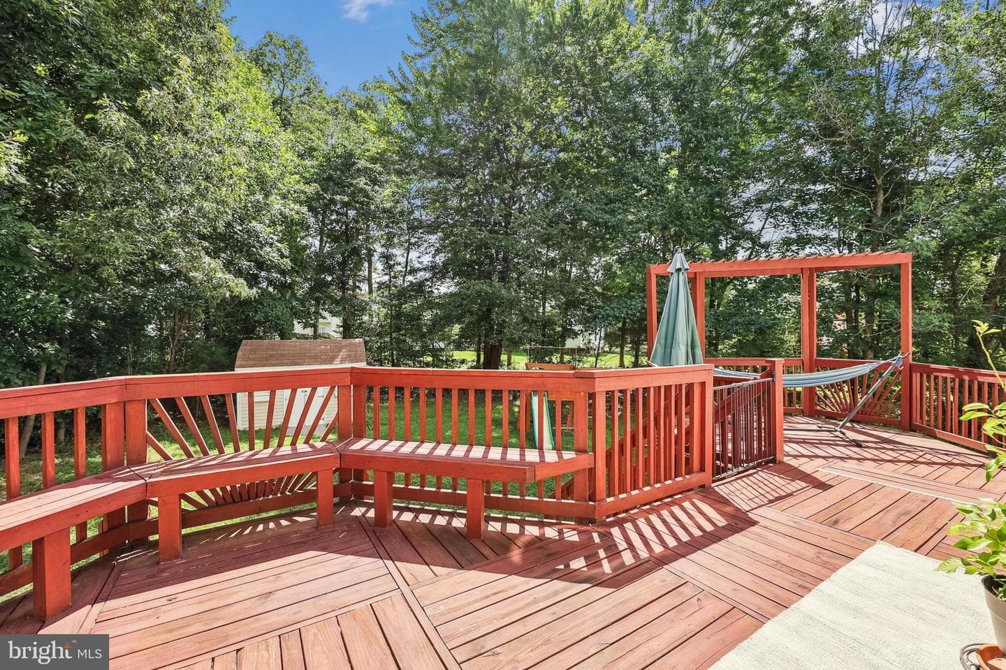 2404 Berry Thicket Court photo 5