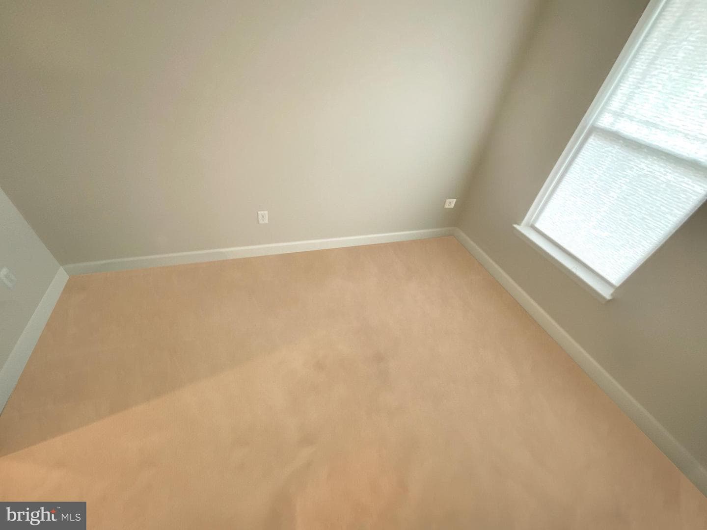 10603 Mount Rainier Pl photo 12