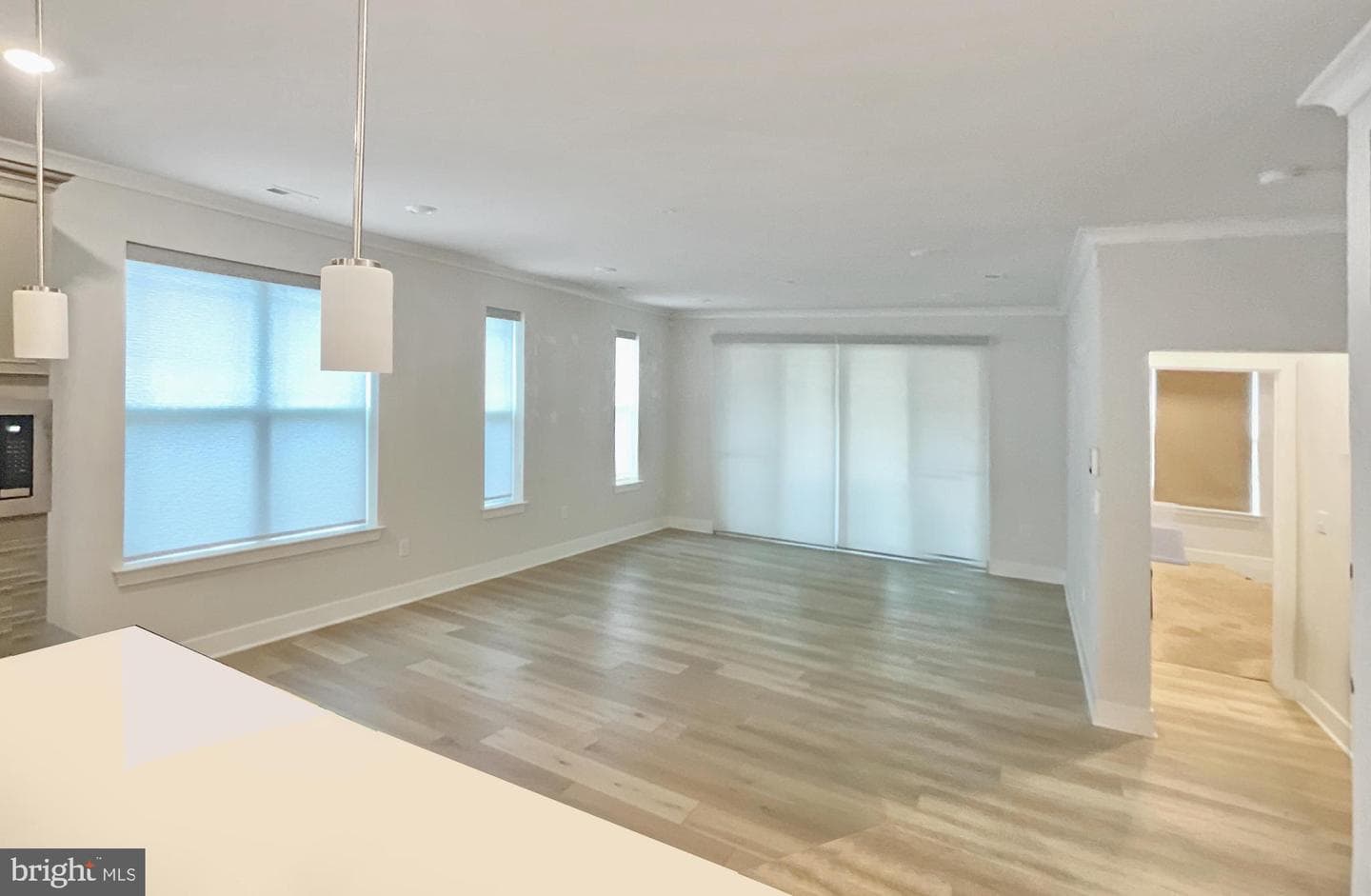 10603 Mount Rainier Pl photo 6