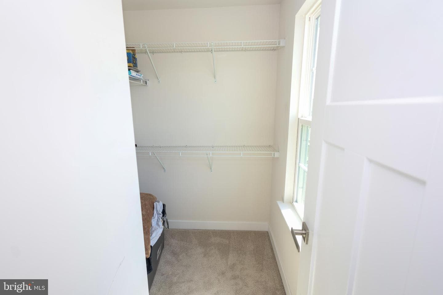8881 Bancroft Drive photo 19