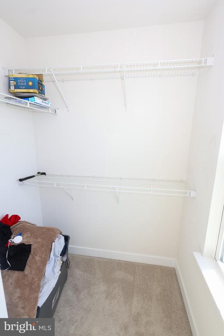 8881 Bancroft Drive photo 21