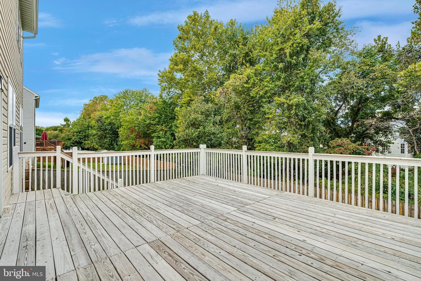3023 Wildflower Drive photo 55