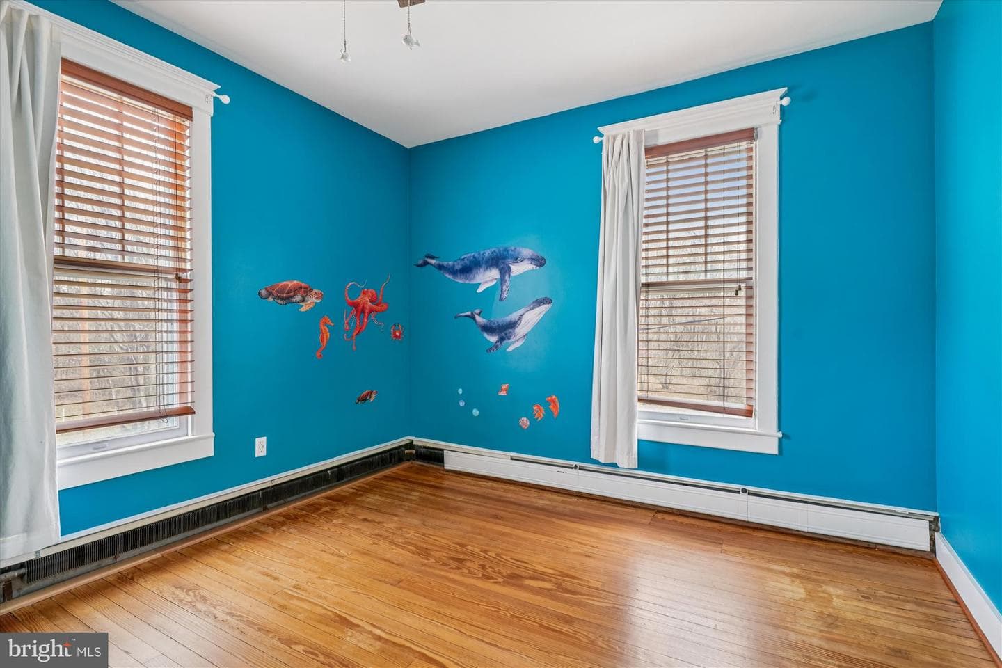 19 Walnut Hill Road photo 33