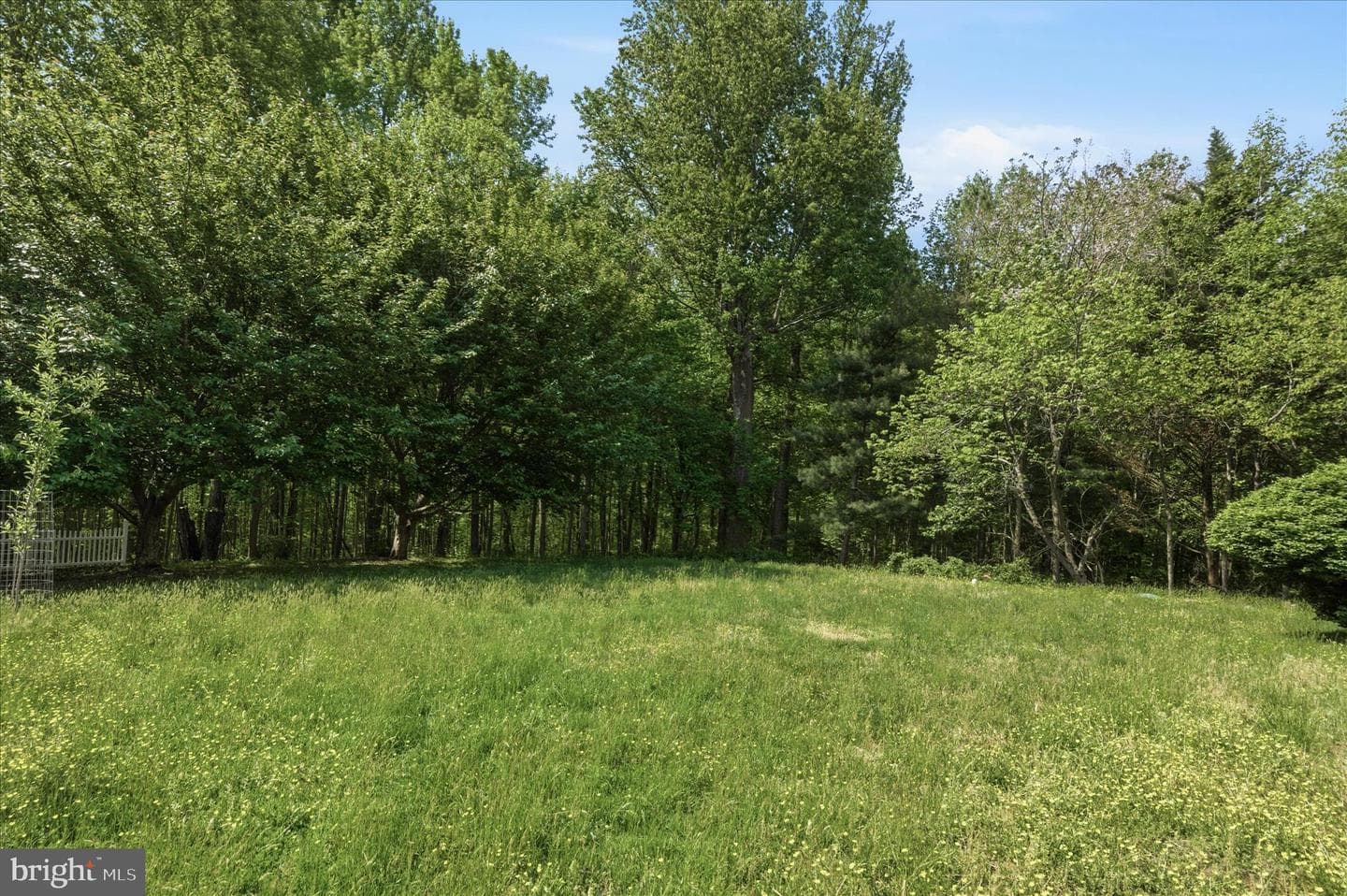 19 Walnut Hill Road photo 53