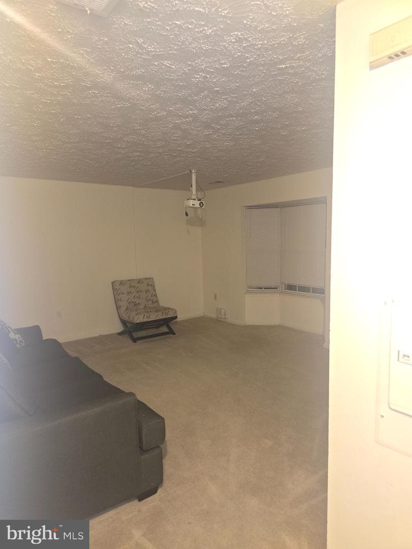 6290 Whistlers Place photo 12