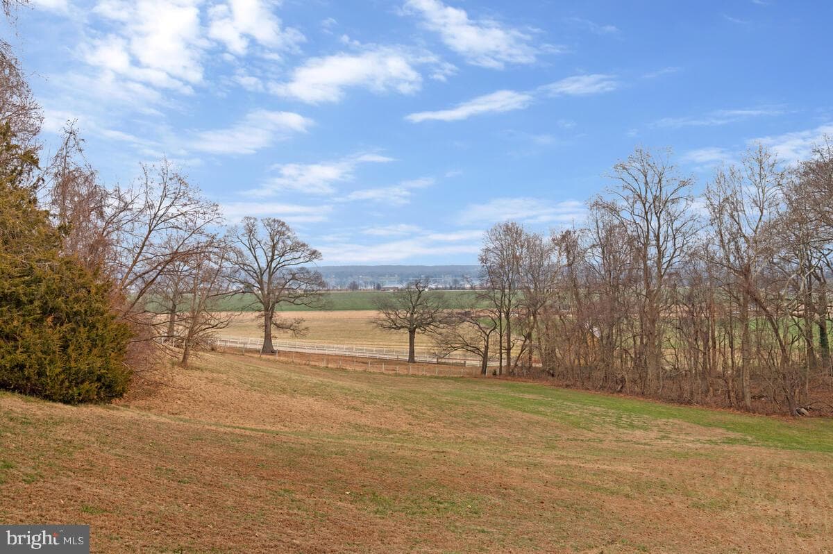 6984 Bluebird Hill Place photo 7