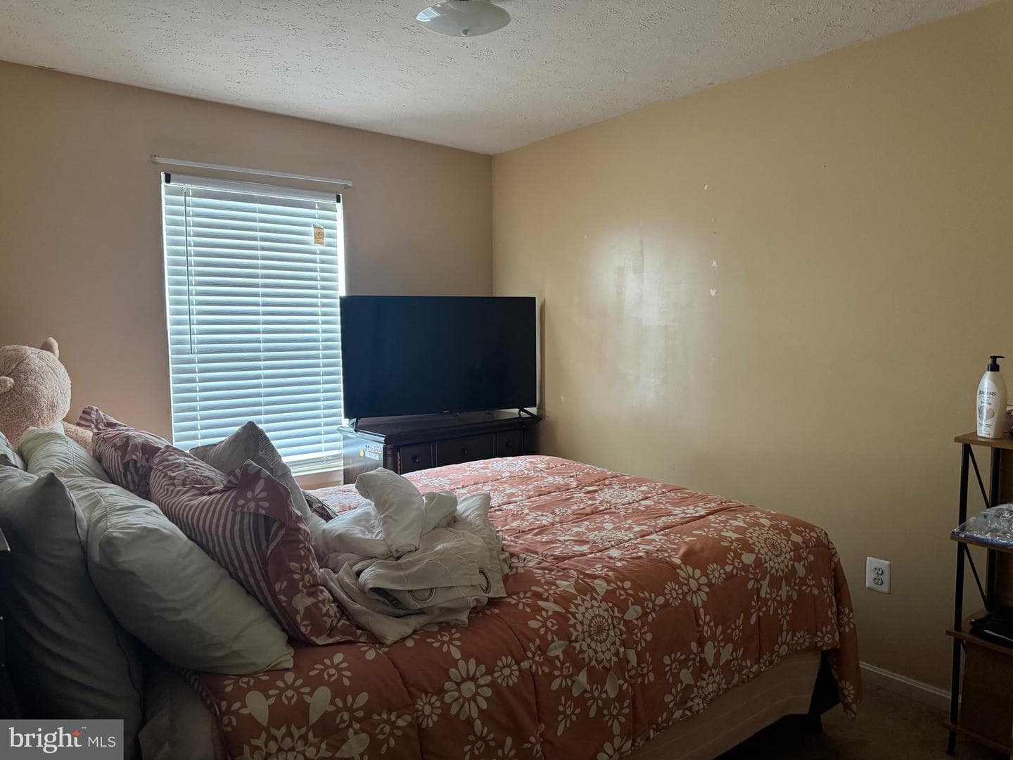 11902 Calico Woods Place photo 10