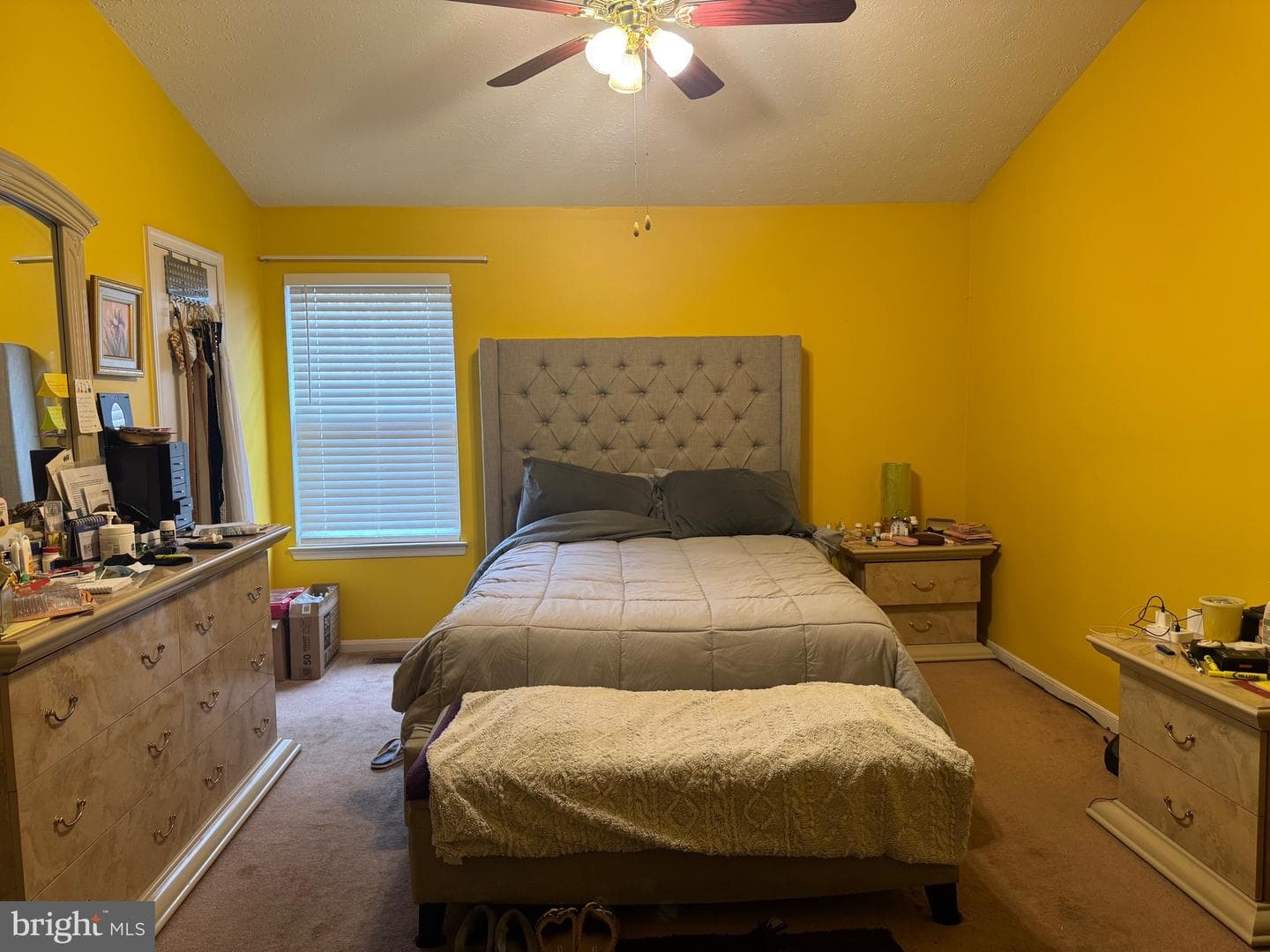 11902 Calico Woods Place photo 7