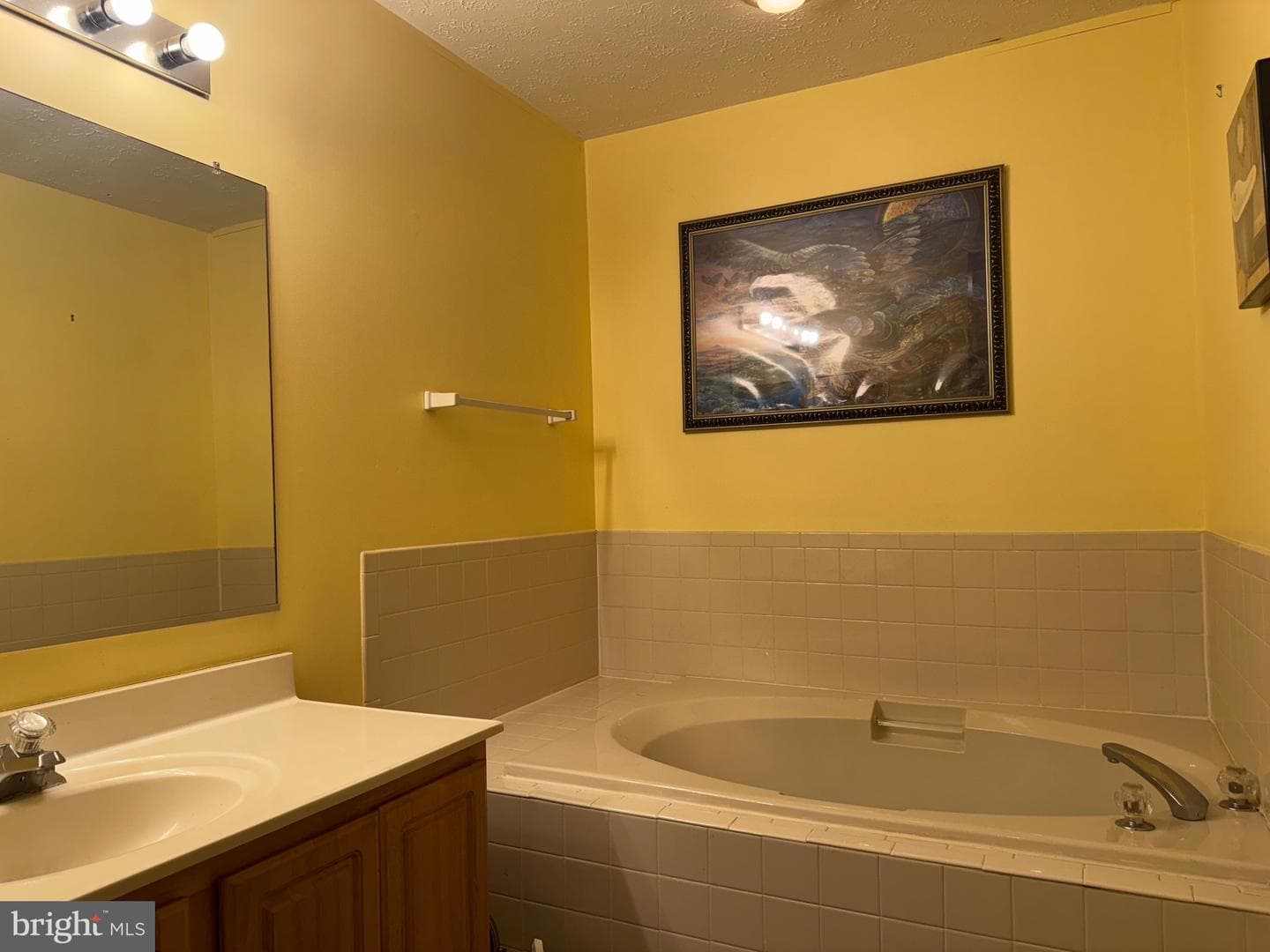 11902 Calico Woods Place photo 8
