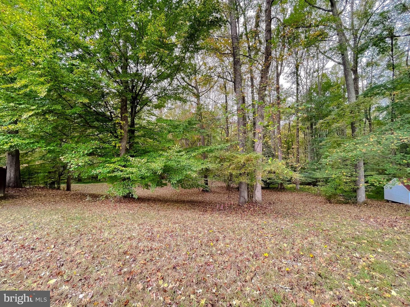 513 Clarks Run Road photo 37