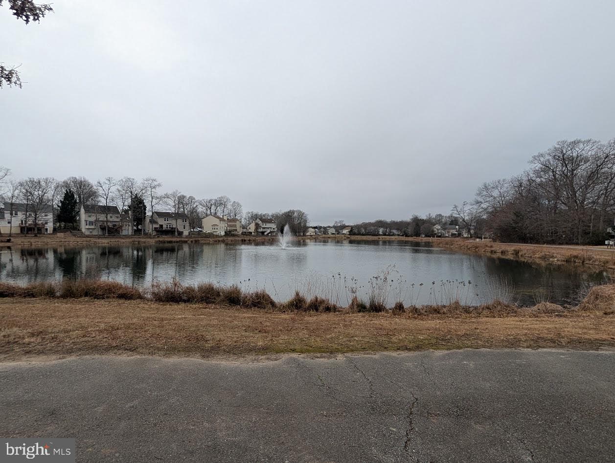 3801 Molly Miller Court photo 48