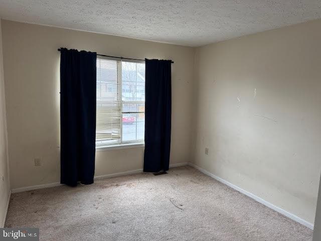 6081 Red Squirrel Place photo 6