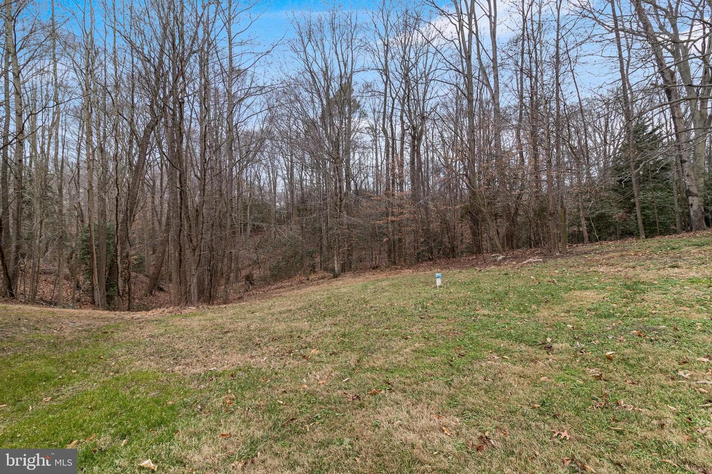 6485 Patuxent Woods Lane photo 46