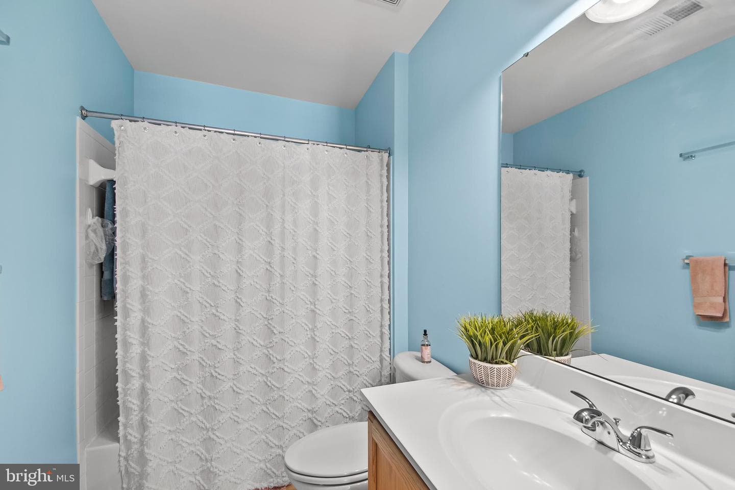 10571 Sourwood Avenue photo 28