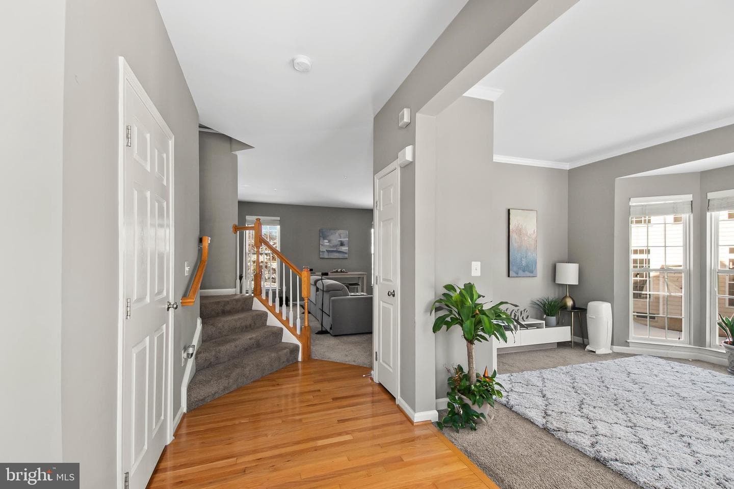 10571 Sourwood Avenue photo 5