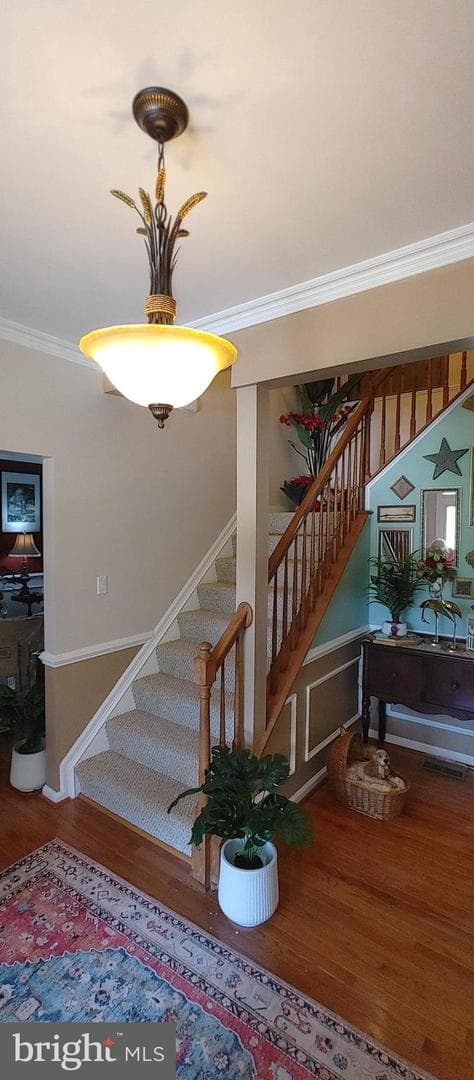6655 Birchwood Place photo 4