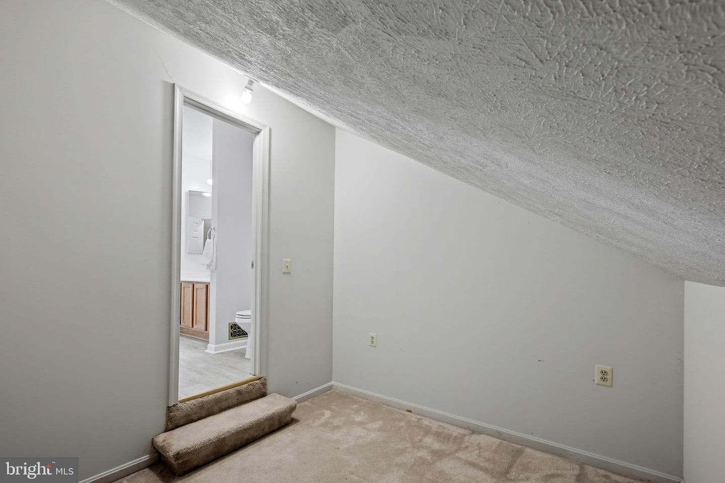 6343 Goral Court photo 13