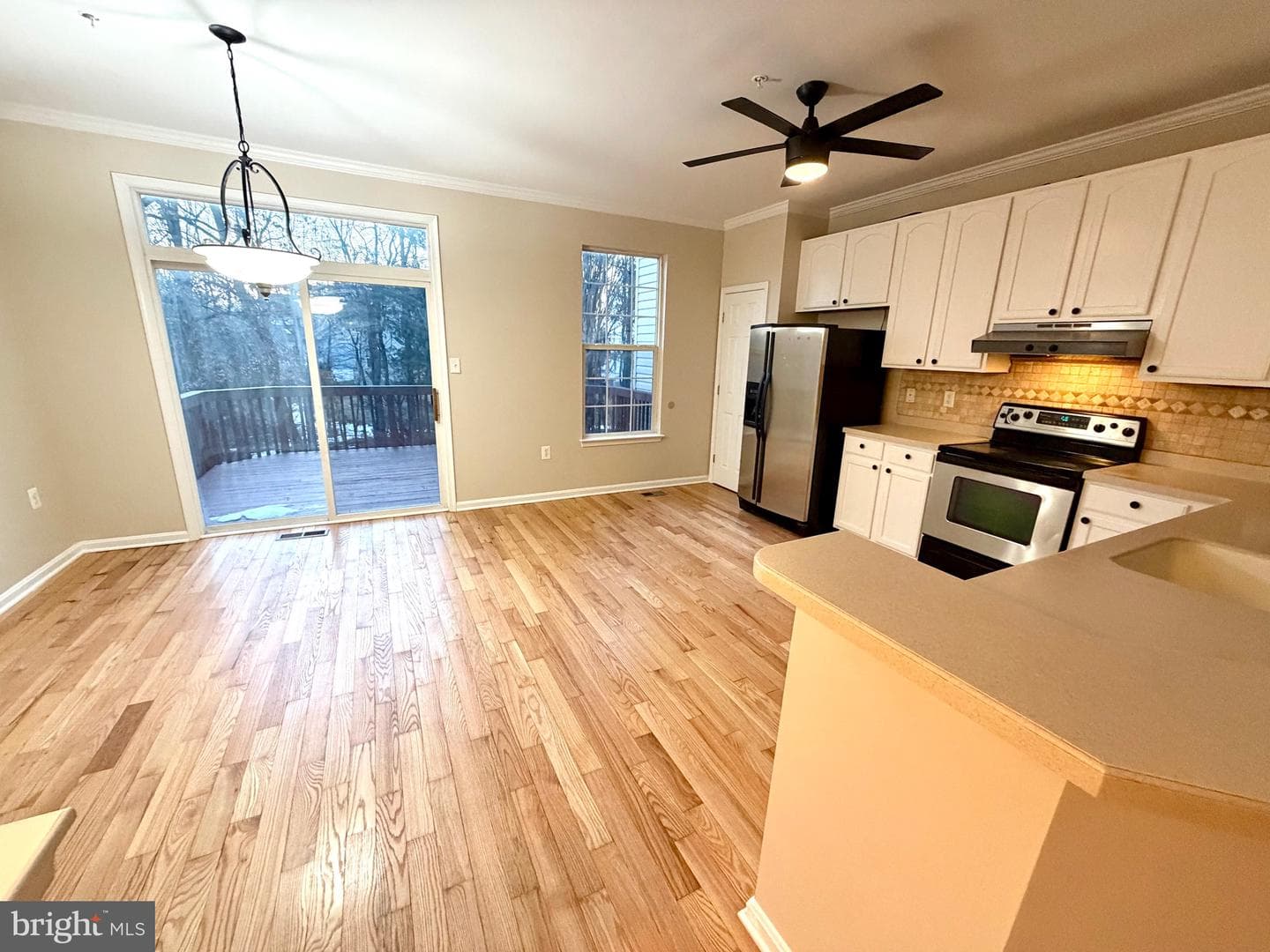 10158 Tree Frog Place photo 13