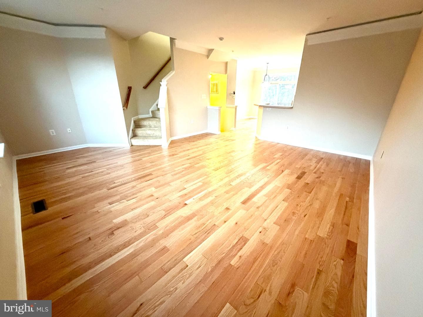 10158 Tree Frog Place photo 14