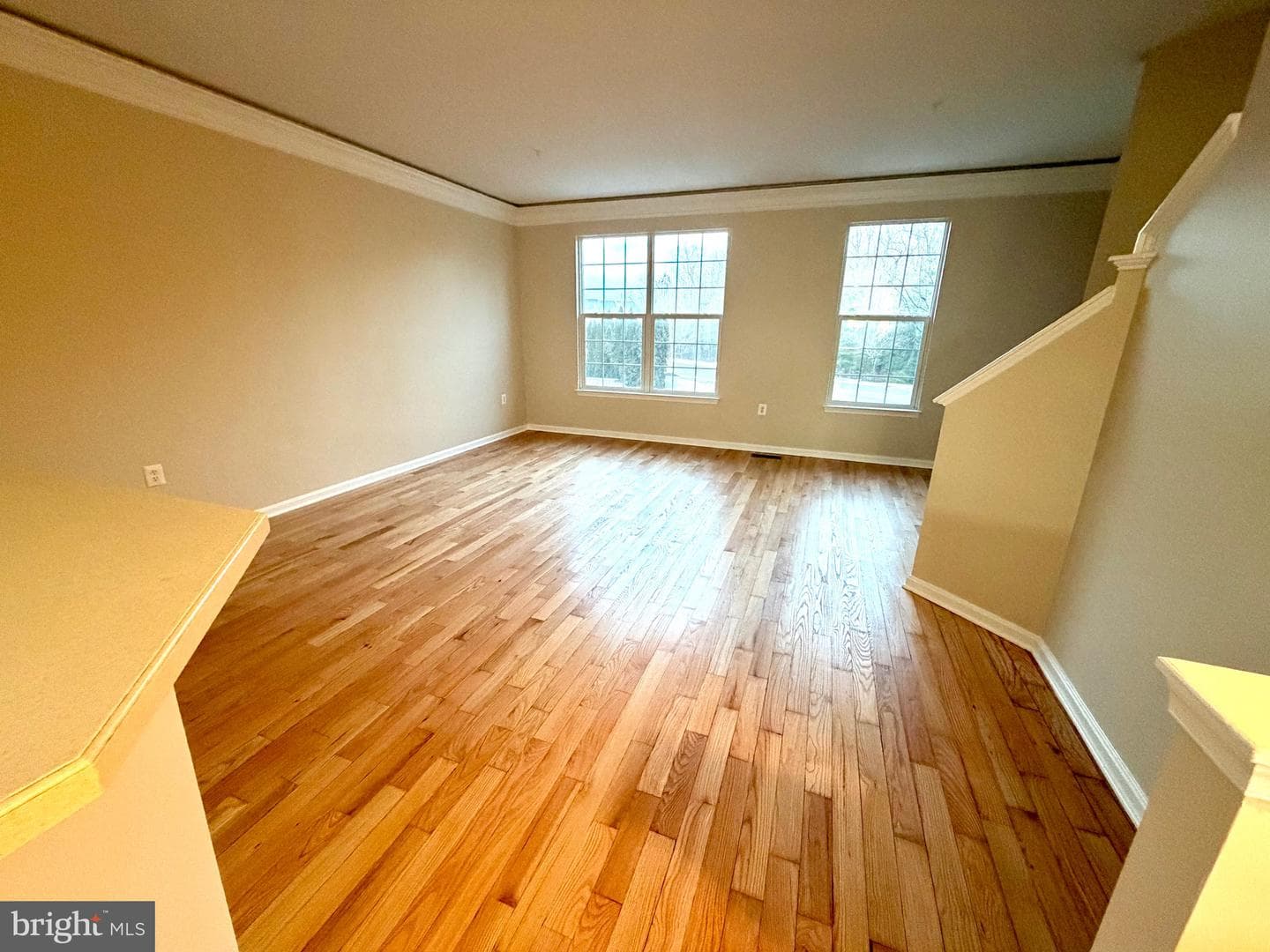 10158 Tree Frog Place photo 15