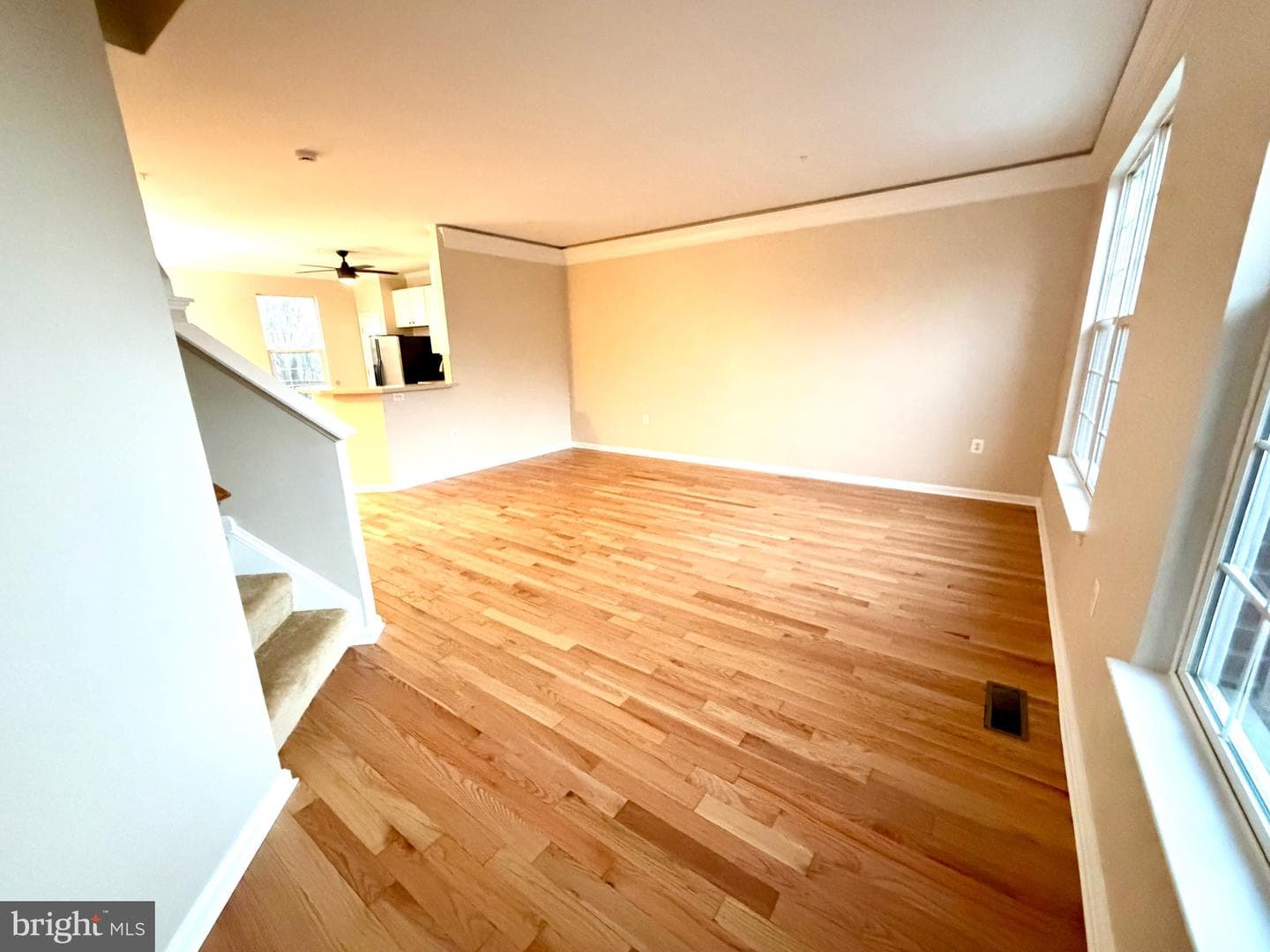 10158 Tree Frog Place photo 16