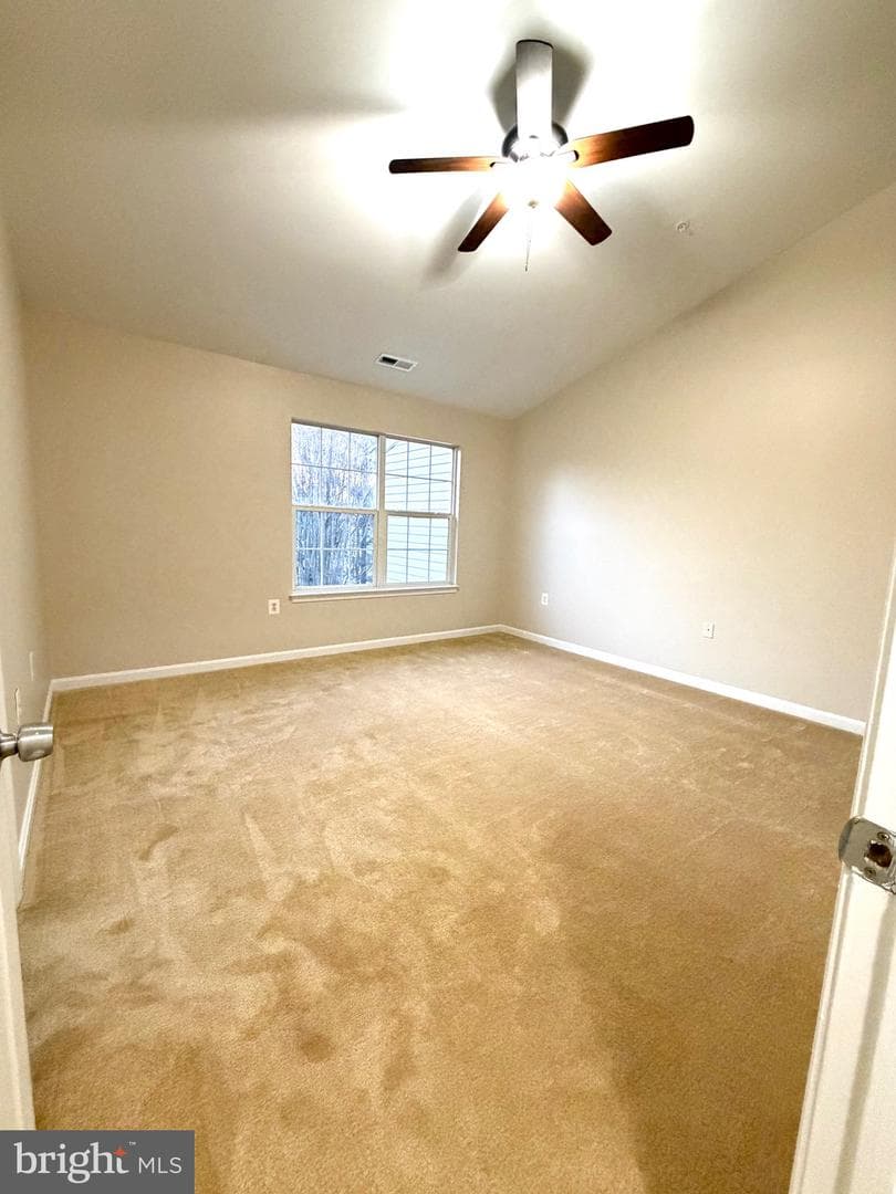 10158 Tree Frog Place photo 17