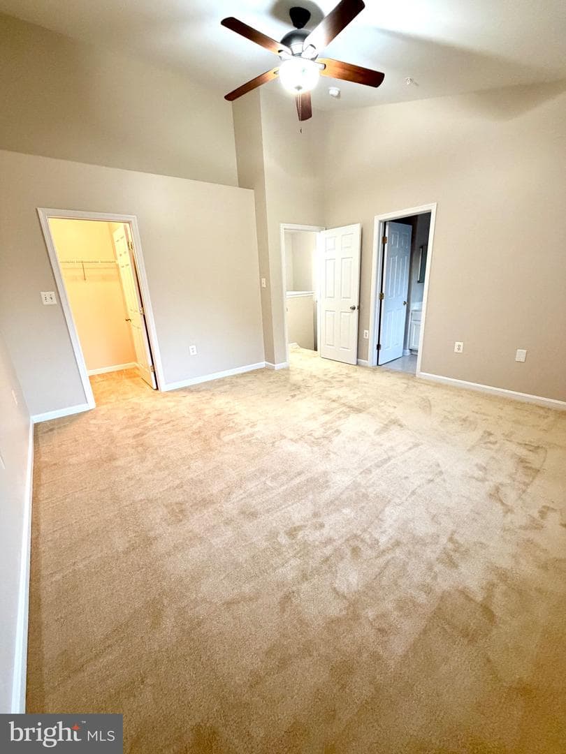 10158 Tree Frog Place photo 18