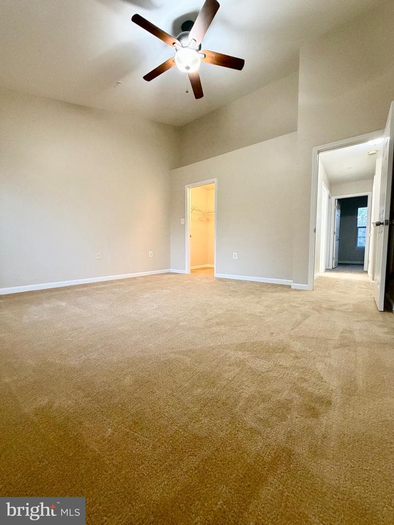 10158 Tree Frog Place photo 19