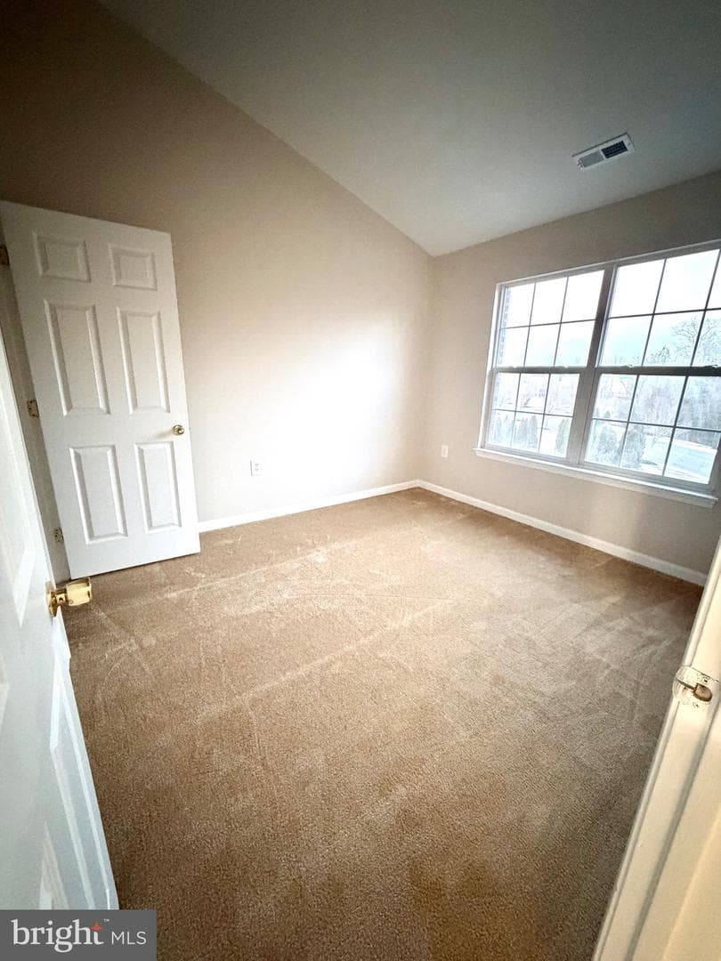 10158 Tree Frog Place photo 24