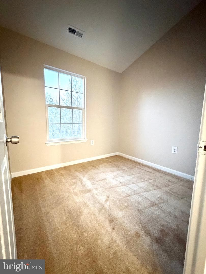 10158 Tree Frog Place photo 25