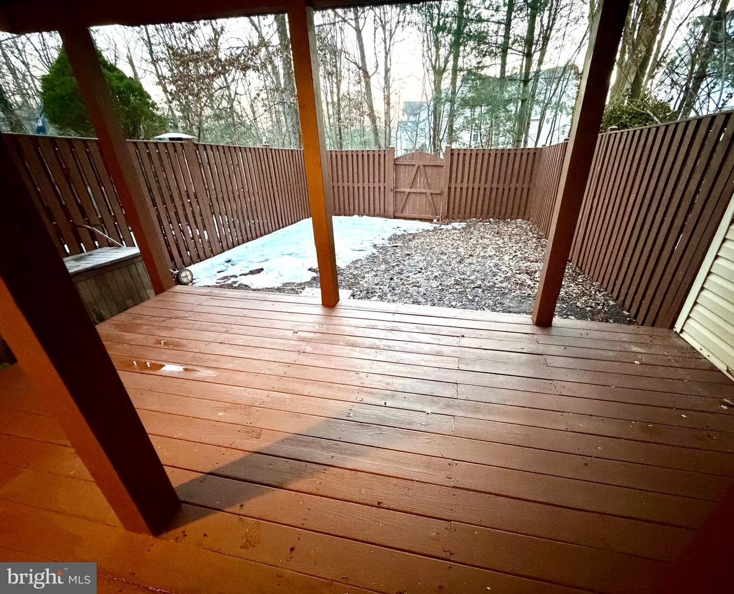 10158 Tree Frog Place photo 6