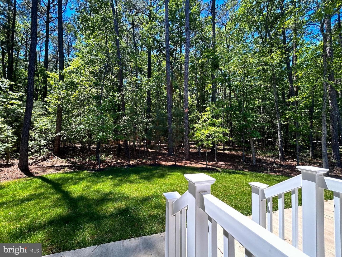 11505 Beacon Hill Court photo 6
