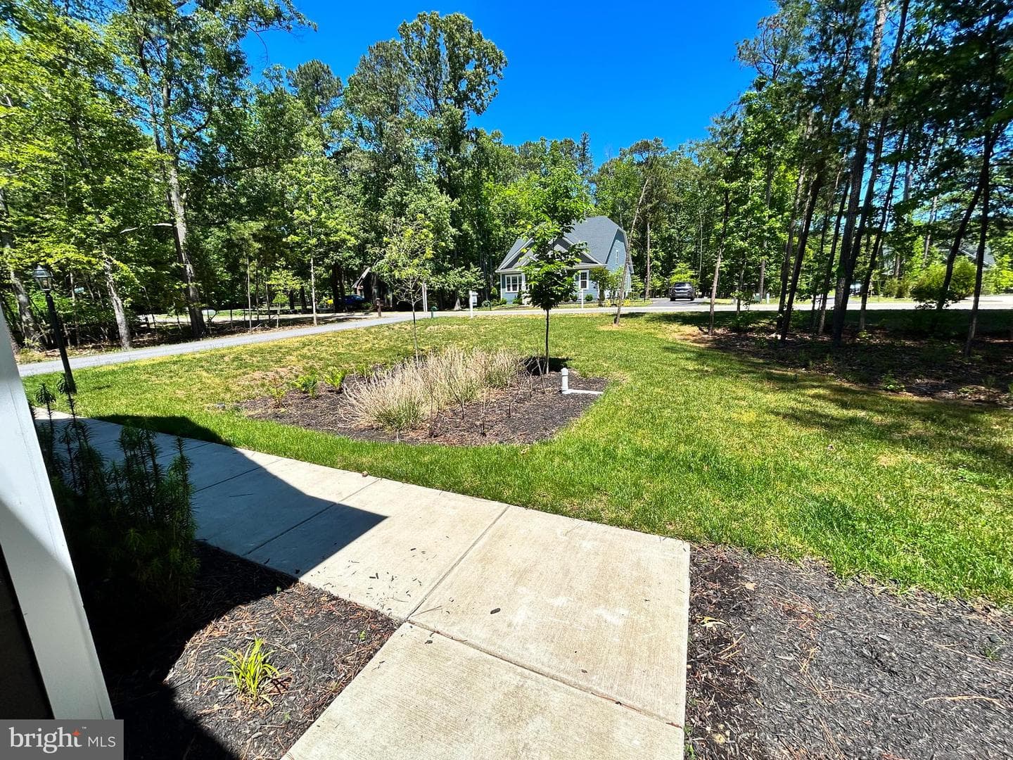 11505 Beacon Hill Court photo 7