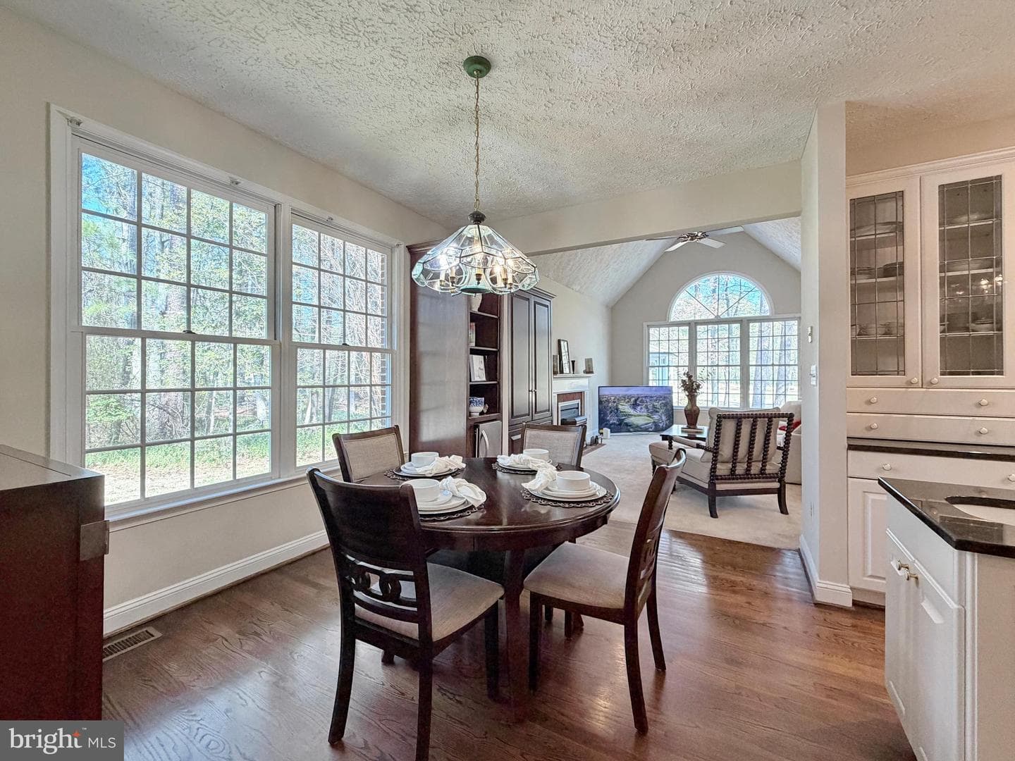 15119 Beacon Hill Circle photo 36