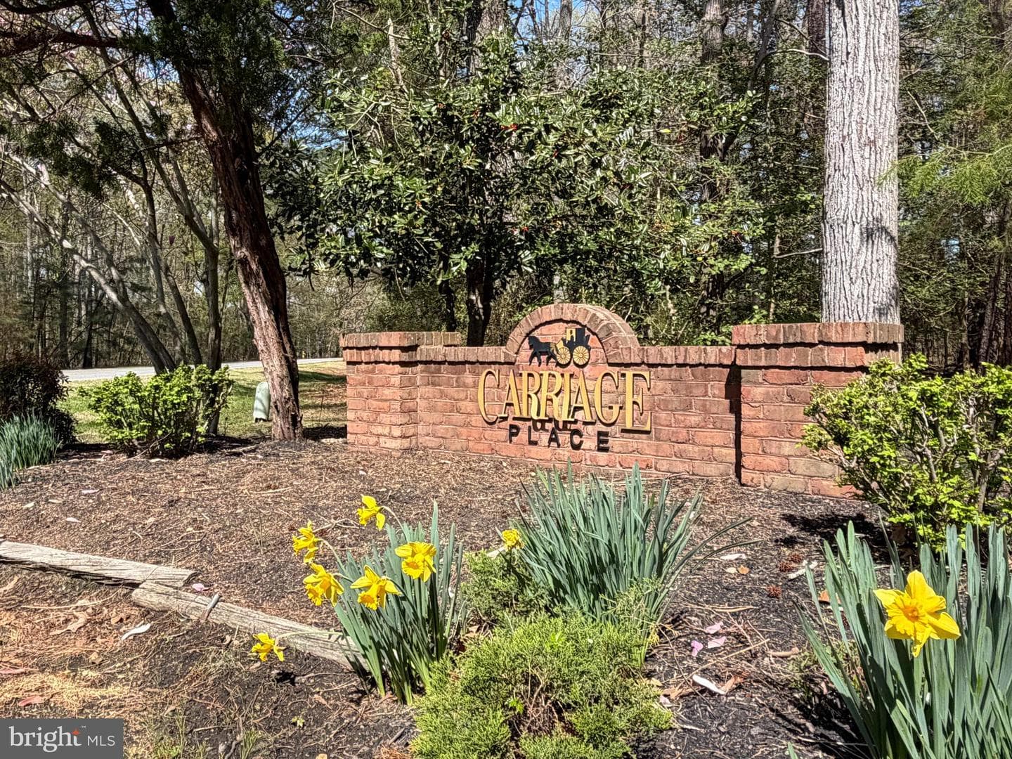 15119 Beacon Hill Circle photo 79
