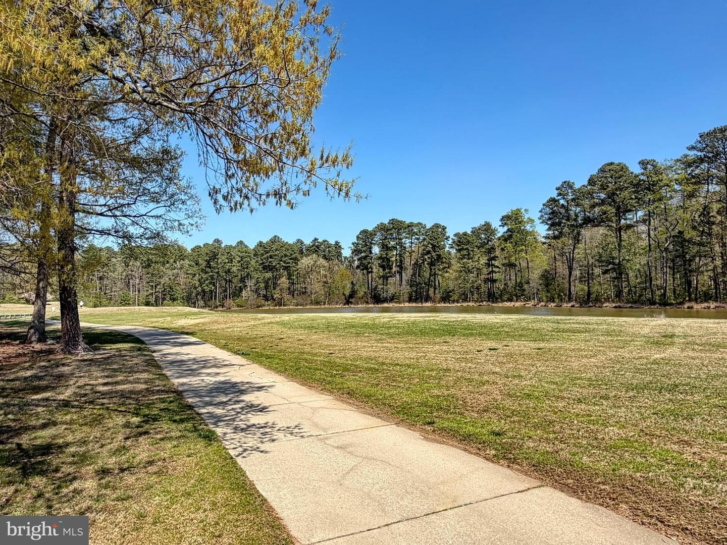15119 Beacon Hill Circle photo 95