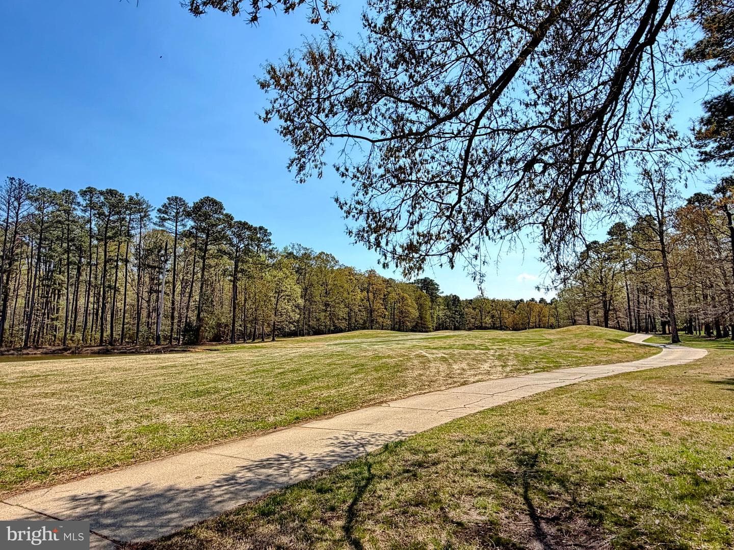 15119 Beacon Hill Circle photo 96
