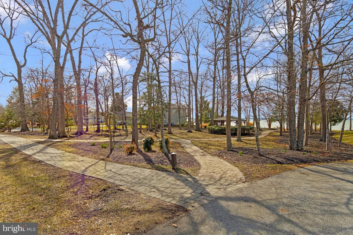 11445 Mohawk Court photo 36