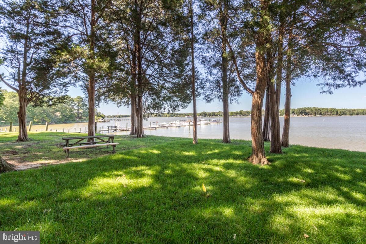 11445 Mohawk Court photo 50