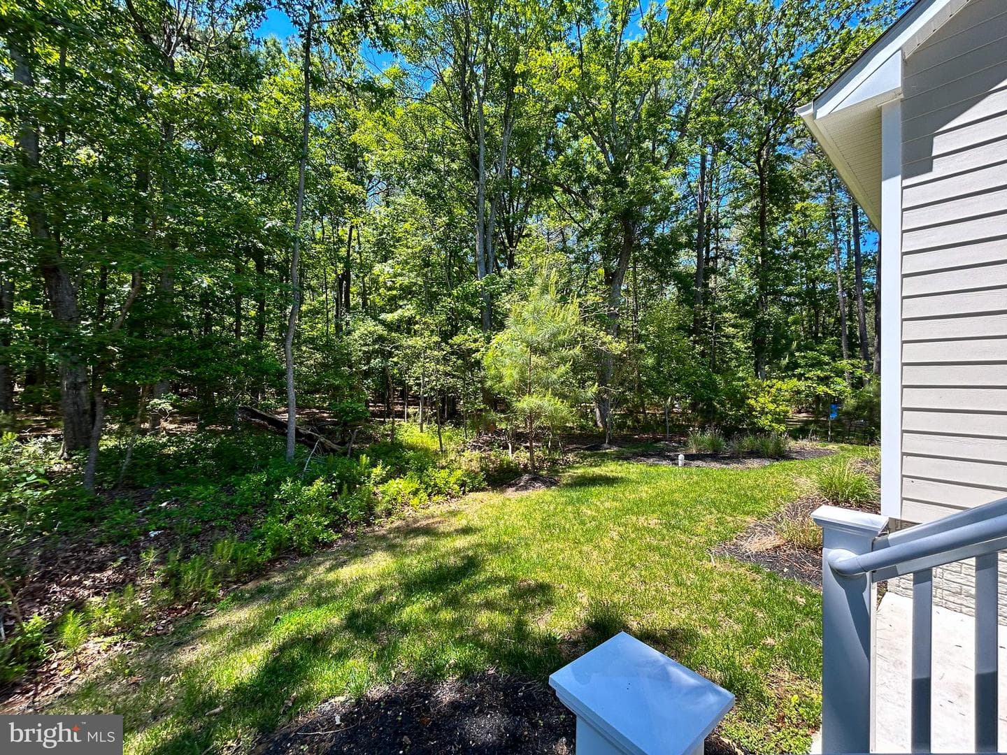 11521 Beacon Hill Court photo 10