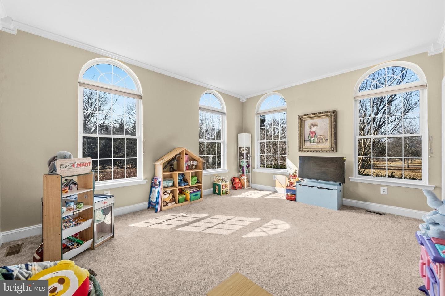 8715 Hill Spring Drive photo 24