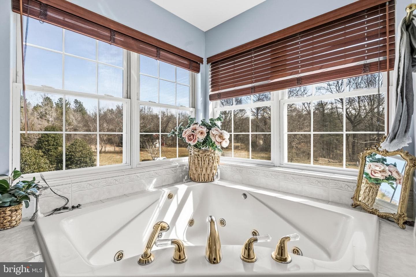 8715 Hill Spring Drive photo 36