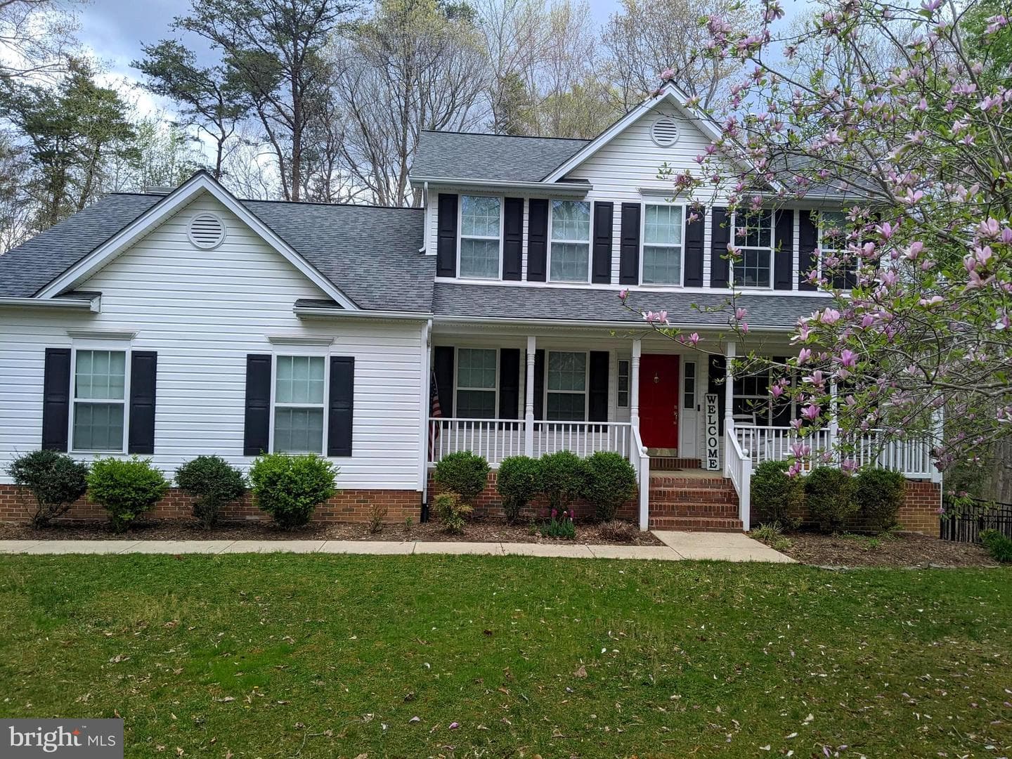 4824 Blueberry Drive photo 2