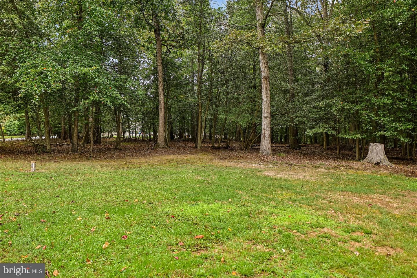 3643 Foxhall Place photo 46