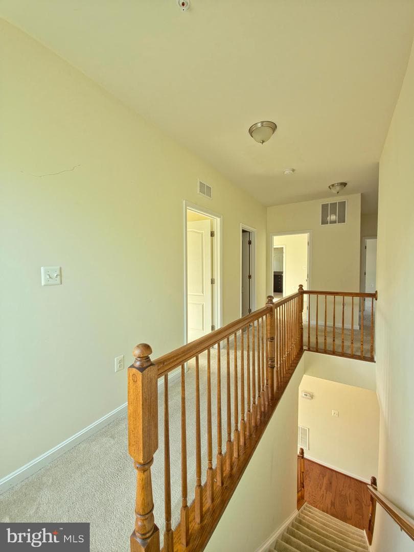 6565 Cluster Pine Court photo 8