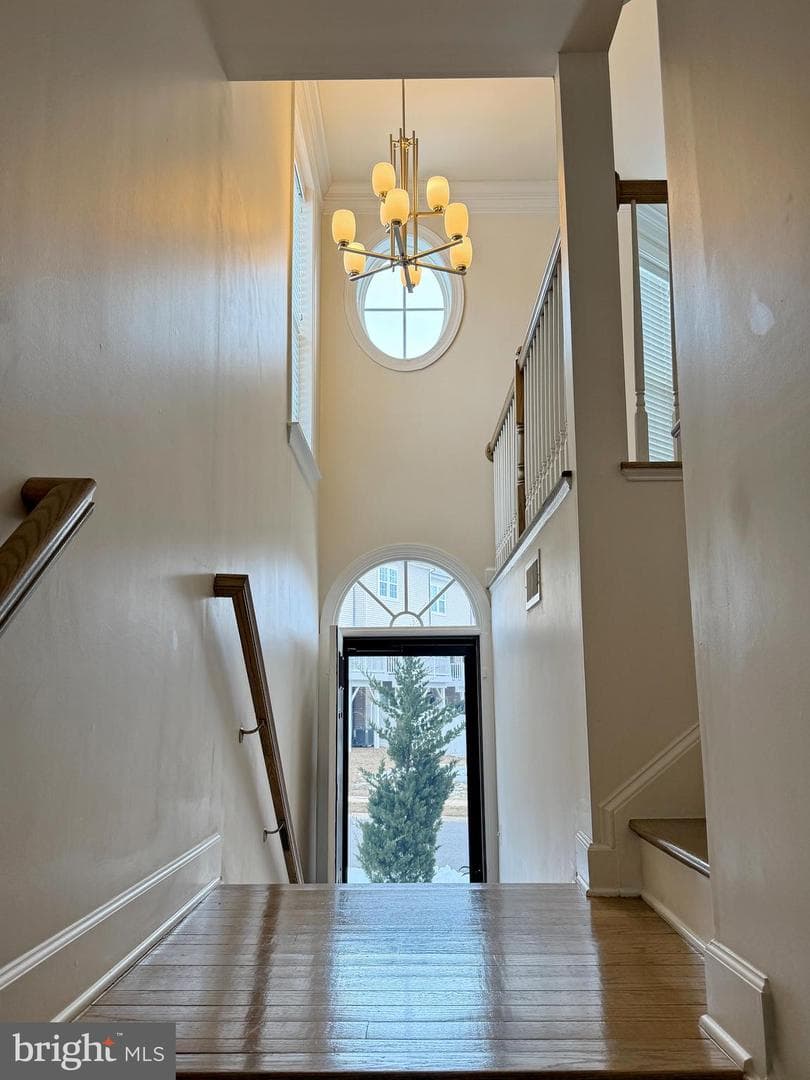 2801 Golden Gate Court photo 5