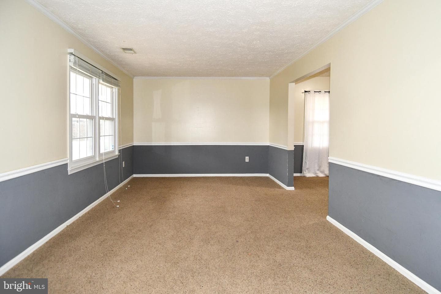 6724 Dolphin Court photo 14