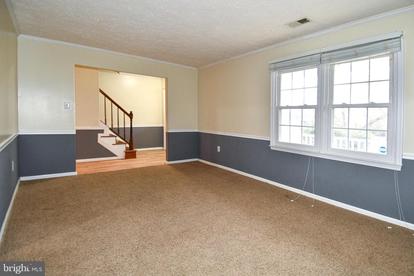 6724 Dolphin Court photo 15