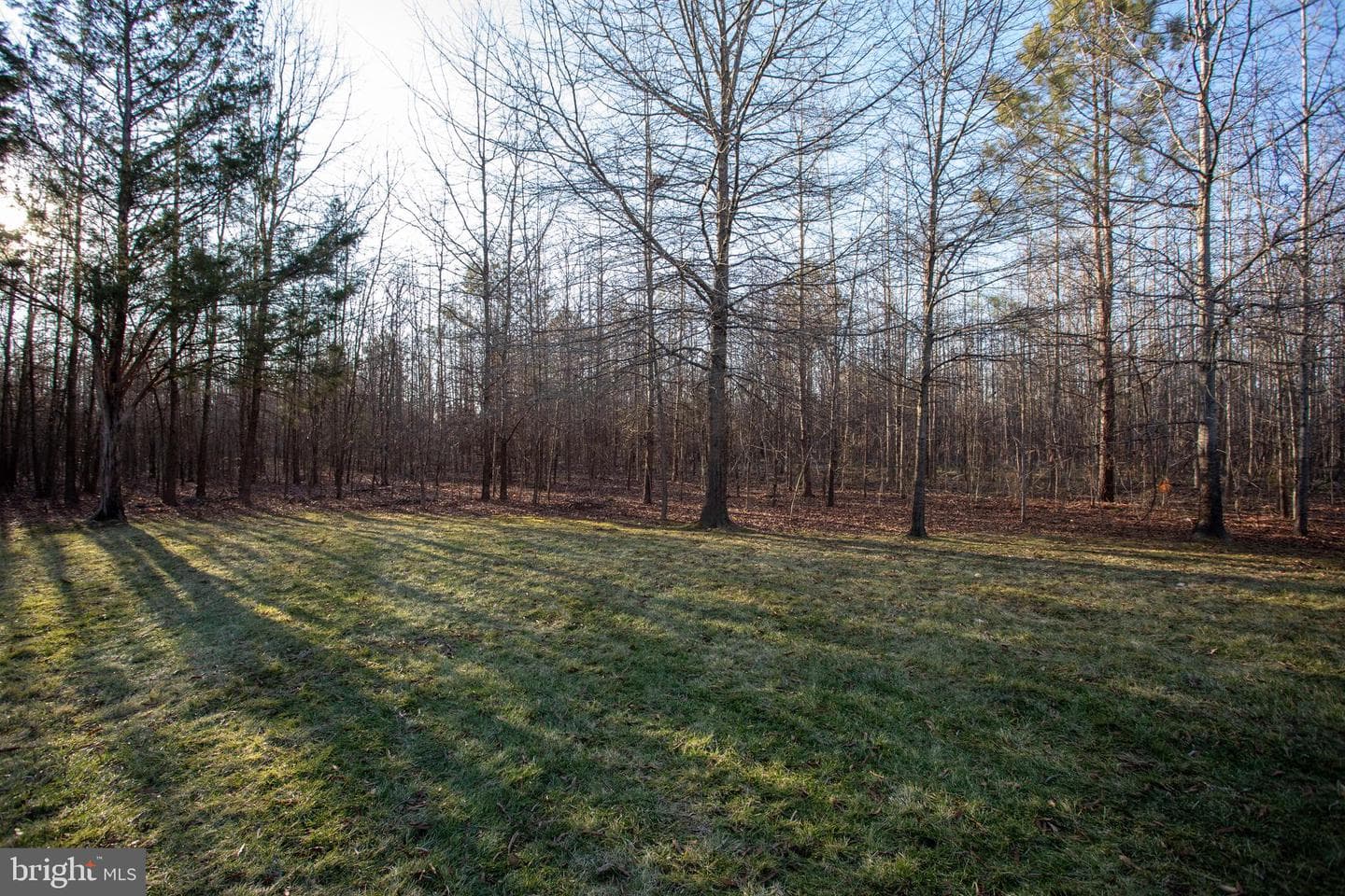 2484 Ryce Drive photo 60